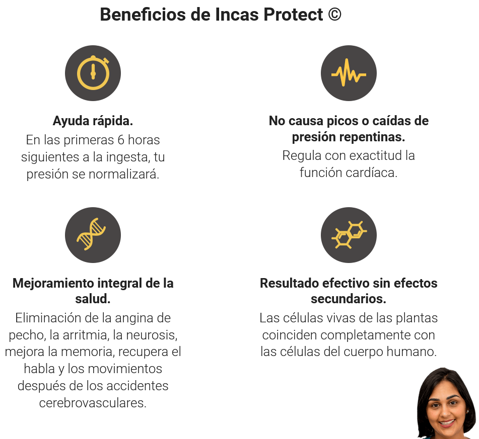 Incas Protect info