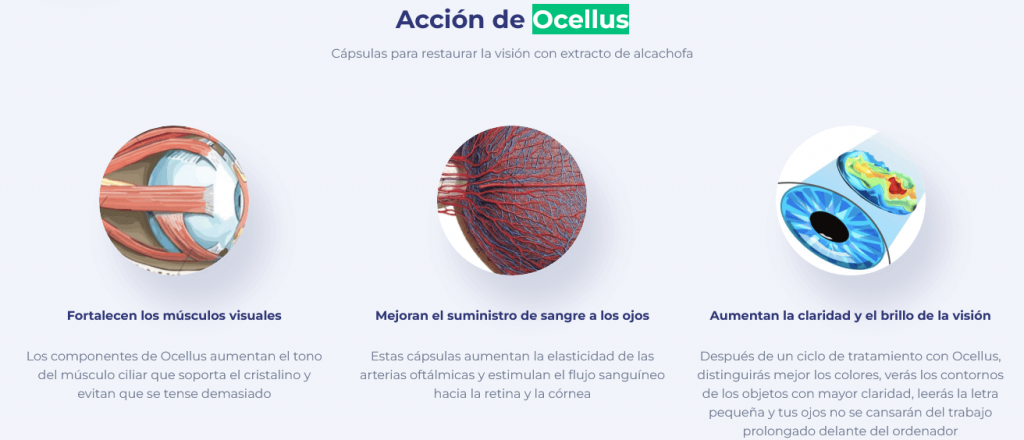 Ocellus 6