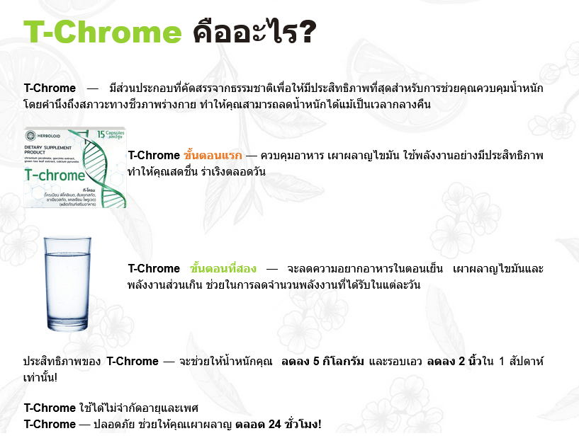 TChrome - โครเมียม - 8